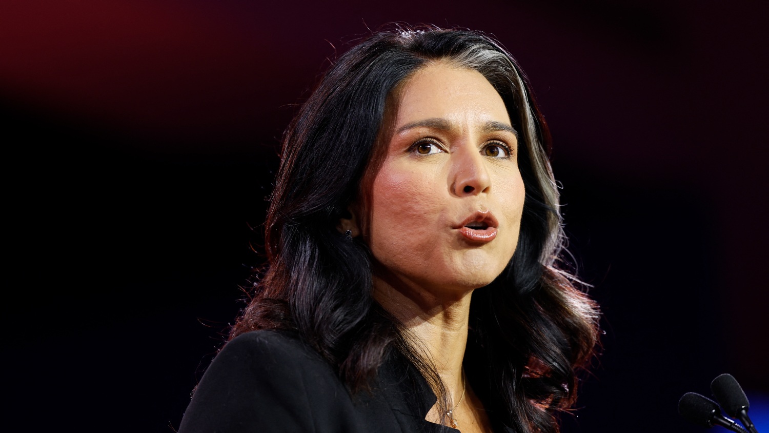 Tulsi Gabbard's resignation as director of national intelligence removes sidelined Iran war sceptic