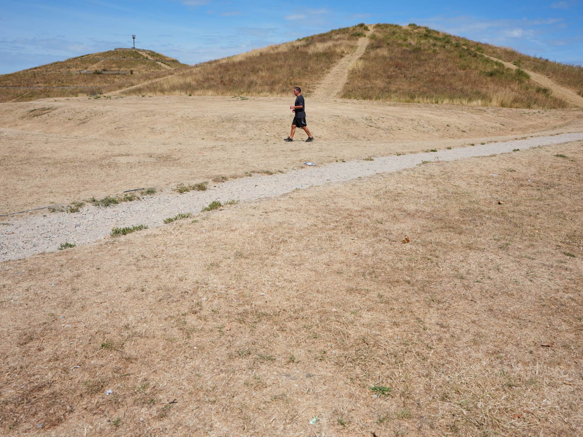 June and July hottest on record in Western Europe, monitor says